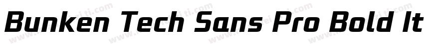 Bunken Tech Sans Pro Bold Italic字体转换